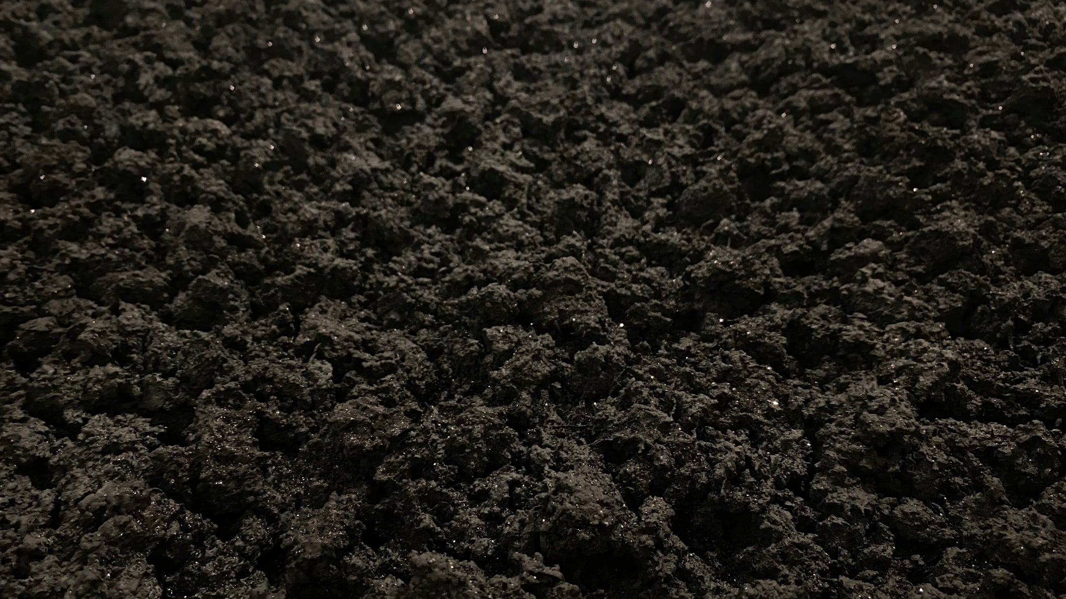 Light in the darkness