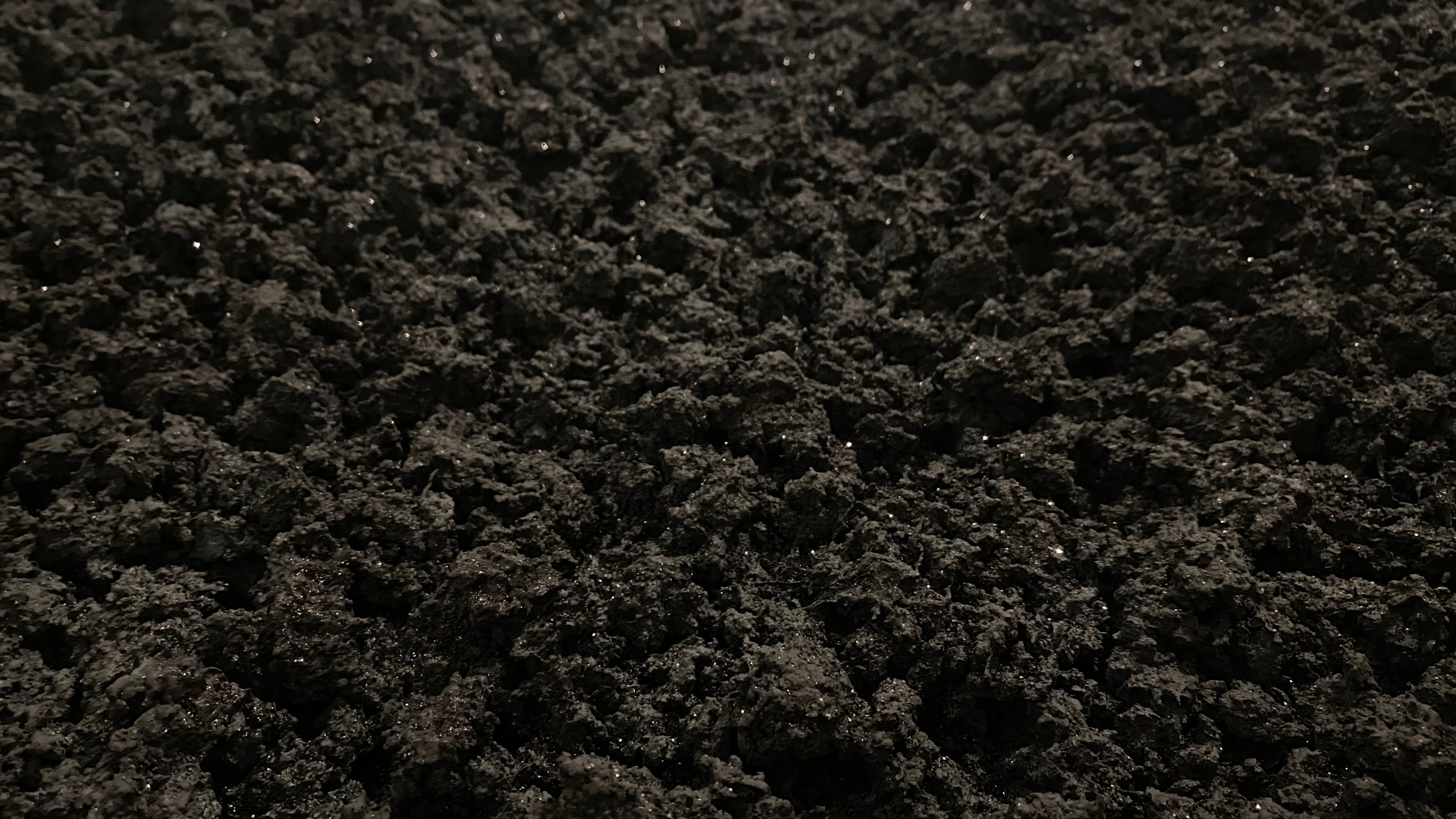 Light in the darkness